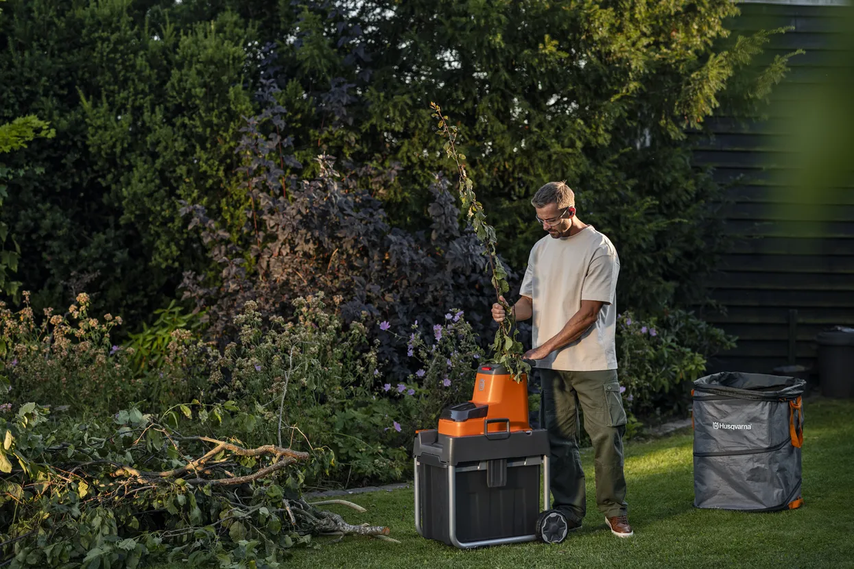Takkenversnipperaar Takkenversnipperaar